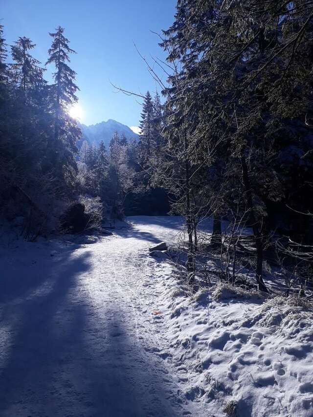 Шале Domek Góralski Chata u Słodkiego Закопане-5